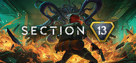 Section 13 Section 13